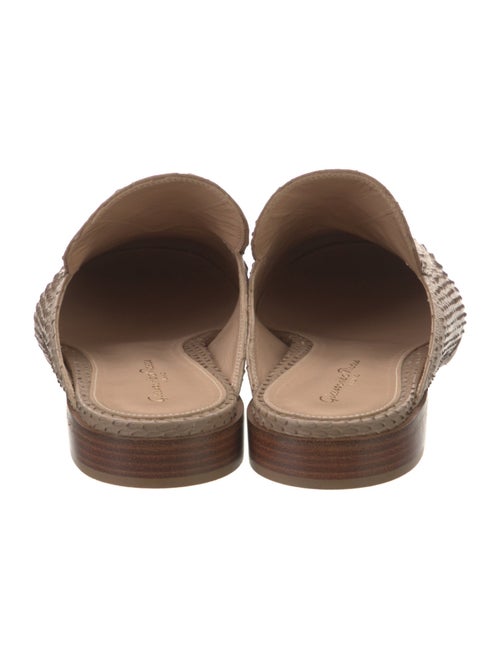 Gianvito Rossi Python Mules