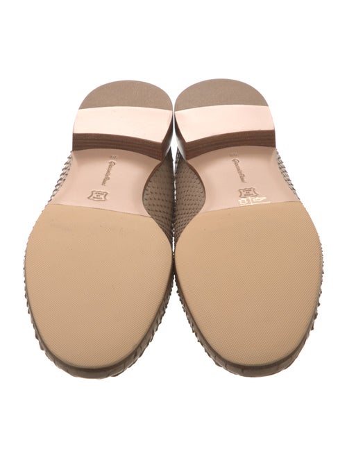 Gianvito Rossi Python Mules