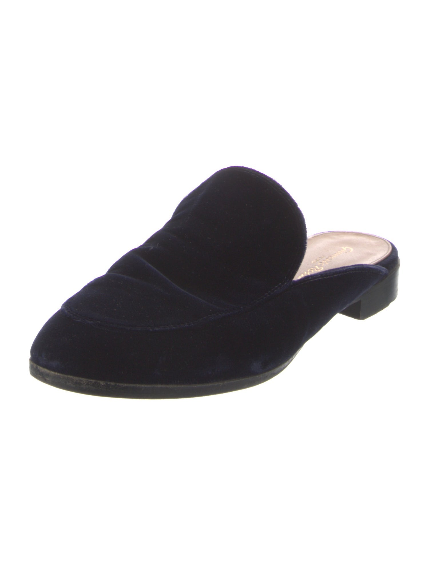 Gianvito Rossi Velvet Mules