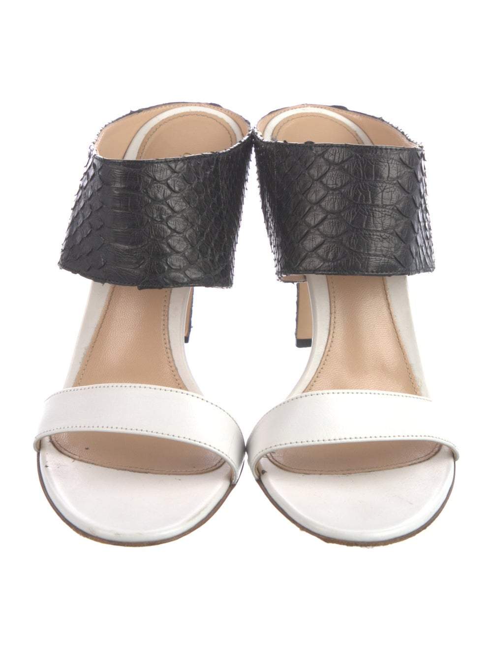 Gianvito Rossi Python Slides Colorblock Pattern - image 3