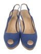 Giuseppe Zanotti Suede Slingback Pumps