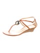Giuseppe Zanotti Leather T-Strap Sandals