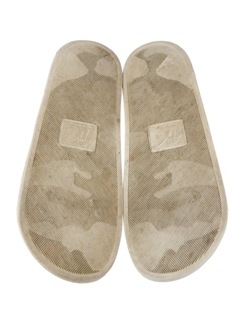 Giuseppe Zanotti Slides