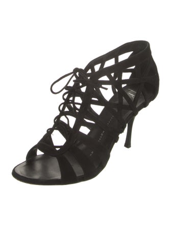 Giuseppe Zanotti Suede Gladiator Sandals