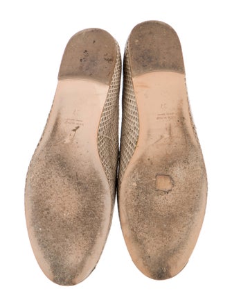 Giuseppe Zanotti Snakeskin Animal Print Ballet Flats