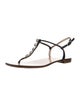 Giuseppe Zanotti Leather Studded Accents T-Strap Sandals