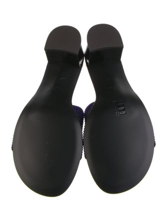 Giuseppe Zanotti Crystal Crystal Embellishments Slides