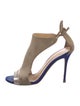 Giuseppe Zanotti Suede D'Orsay Pumps