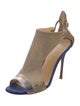 Giuseppe Zanotti Suede D'Orsay Pumps