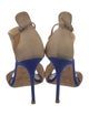 Giuseppe Zanotti Suede D'Orsay Pumps