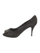 Giuseppe Zanotti Suede Studded Accents Pumps