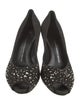 Giuseppe Zanotti Suede Studded Accents Pumps