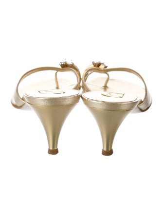 Giuseppe Zanotti Canvas Slides