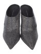 Giuseppe Zanotti Crystal Crystal Embellishments Mules