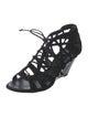 Giuseppe Zanotti Suede Gladiator Sandals