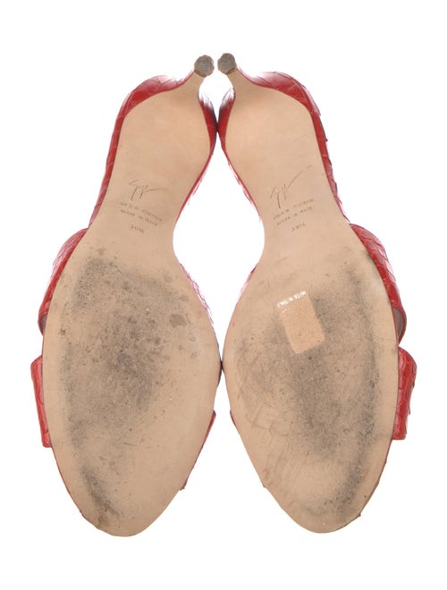 Giuseppe Zanotti Crocodile Slides