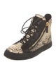 Giuseppe Zanotti Snakeskin Animal Print Sneakers