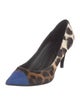 Giuseppe Zanotti Ponyhair Animal Print Pumps