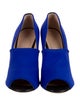 Giuseppe Zanotti D'Orsay Pumps
