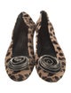 Giuseppe Zanotti Ponyhair Animal Print Flats