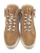 Giuseppe Zanotti Suede Sneakers