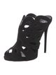 Giuseppe Zanotti Suede Cutout Accent Mules