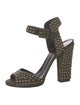 Giuseppe Zanotti Suede Studded Accents Sandals
