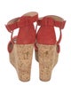 Giuseppe Zanotti Suede Sandals