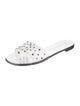 Giuseppe Zanotti Crystal Embellishments Slides