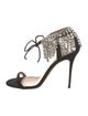 Giuseppe Zanotti Suede Crystal Embellishments D'Orsay Pumps