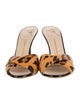 Giuseppe Zanotti Leather Animal Print Slides