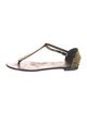 Giuseppe Zanotti Leather T-Strap Sandals