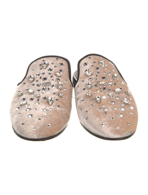 Giuseppe Zanotti Velvet Mules