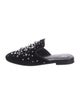 Giuseppe Zanotti Velvet Crystal Embellishments Mules