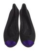 Giuseppe Zanotti Suede Crystal Embellishments Ballet Flats