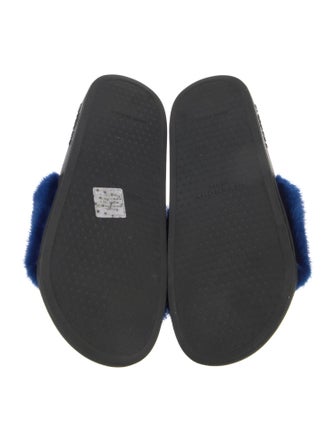 Givenchy Mink Slides