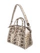 Givenchy Snakeskin GIVENCHY Small Antigona Anaconda Snake Bag