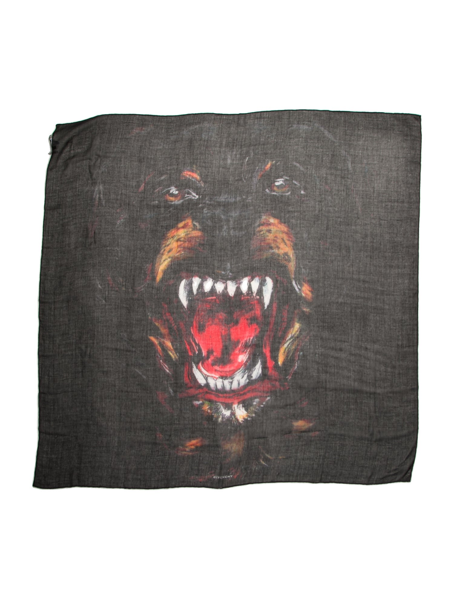 Givenchy Cashmere Printed Scarf