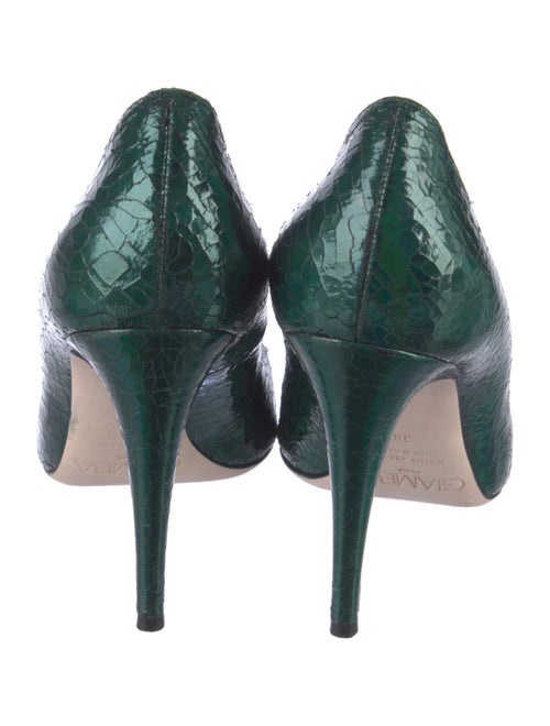 Giamba Leather Animal Print Pumps