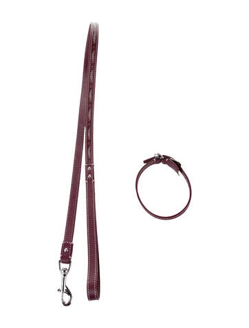 Goyard Pet Accessories Goyardine Dog Collar & Leash Set