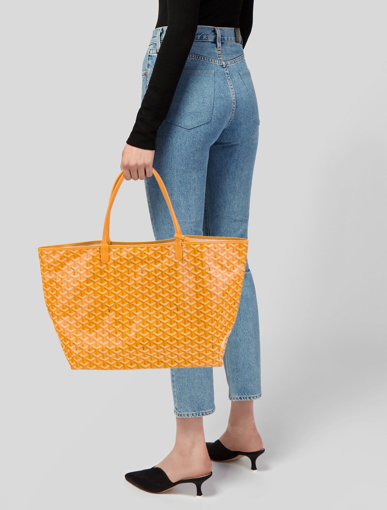 Goyard Goyardine St. Louis GM 2024 w/ Tags