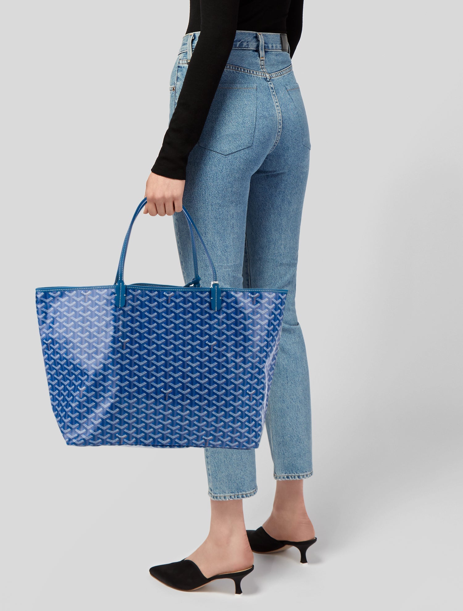 Goyard Goyardine St. Louis GM 2024