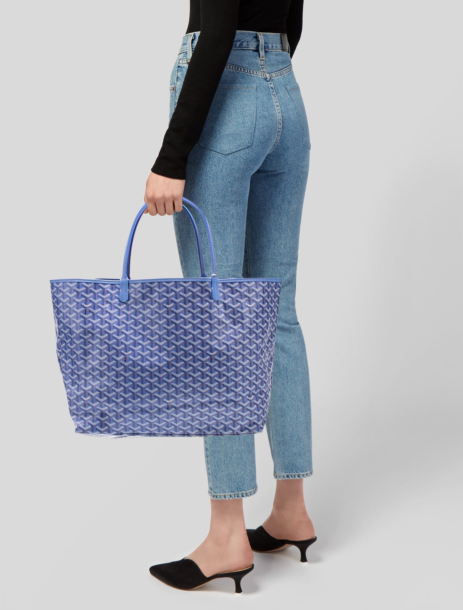 Goyard Goyardine Le Jardin St. Louis GM 2025
