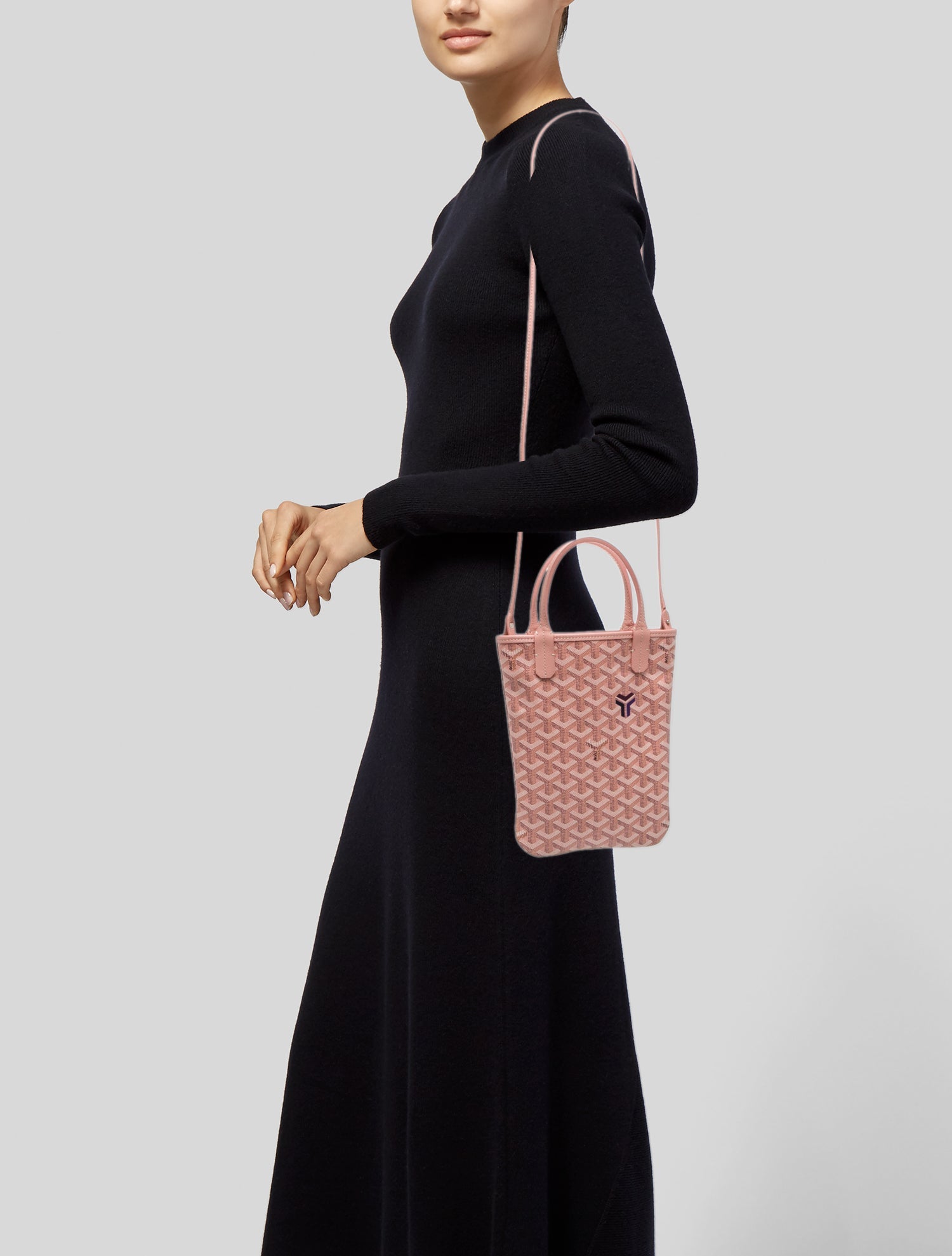 Goyard Goyardine Powder Pink Poitiers 2022