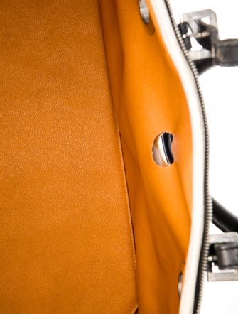 Goyard Goyardine Sac Hulot Pet Carrier PM