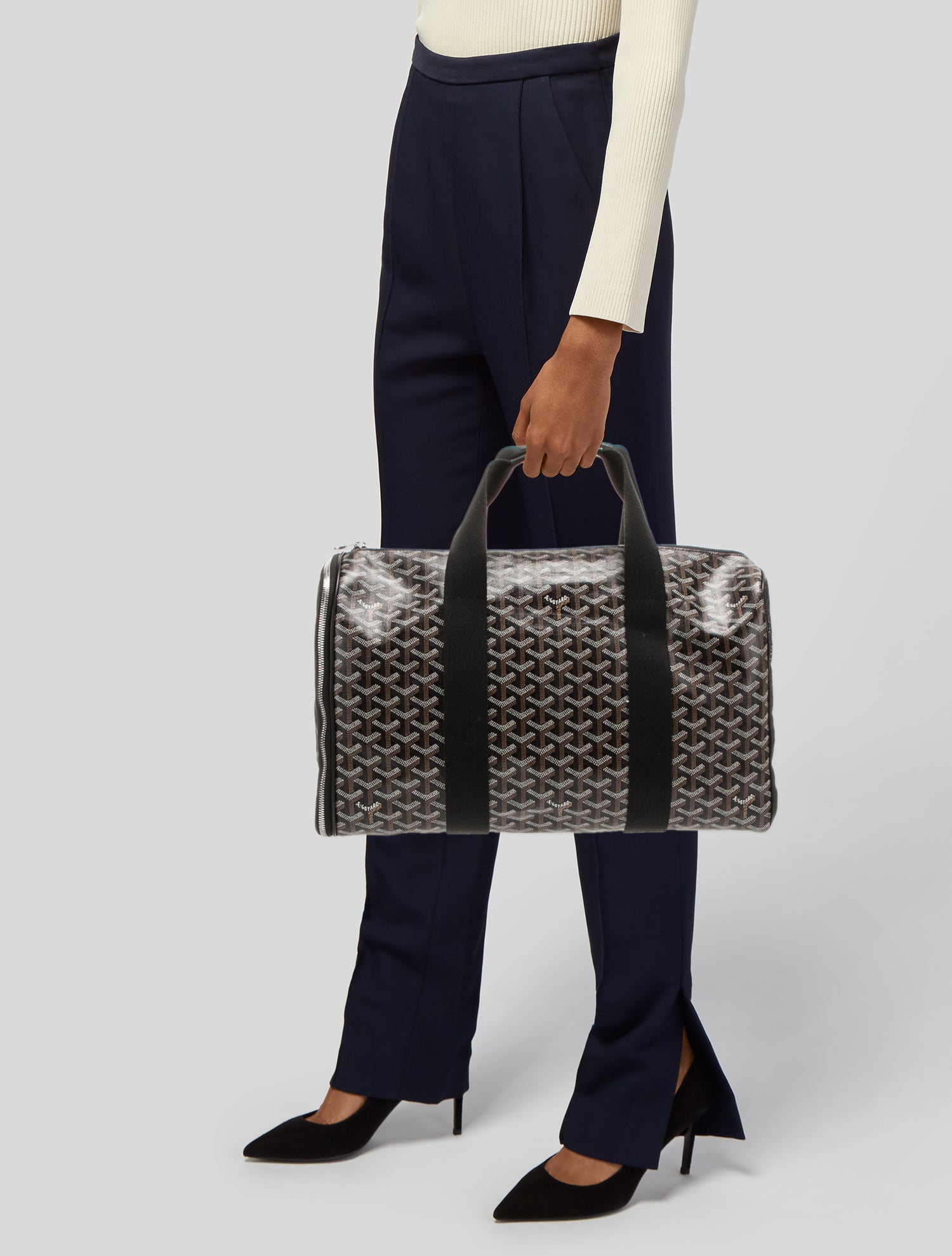 Goyard Goyardine Voltigeur Pet Carrier