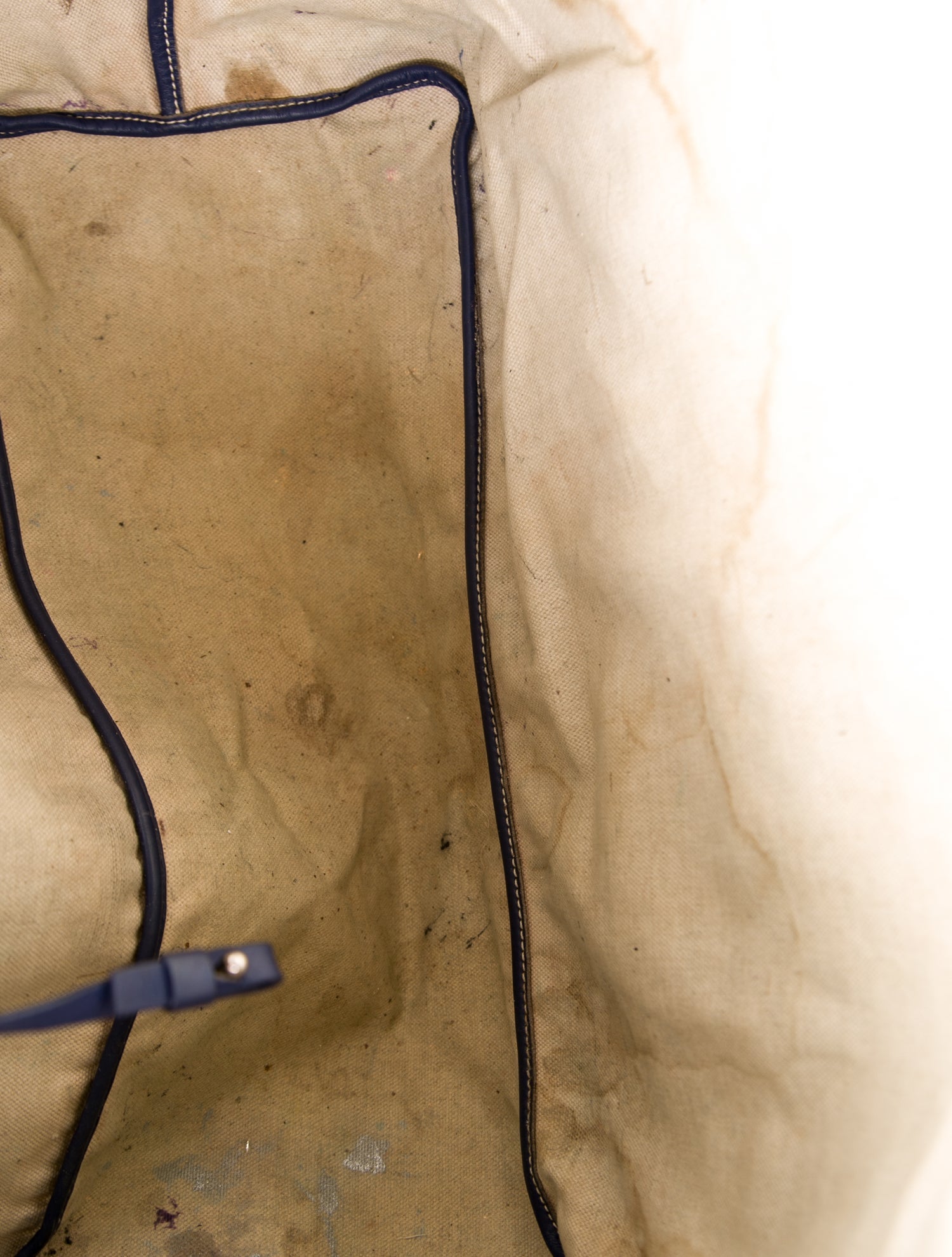 Goyard Goyardine St.Louis PM