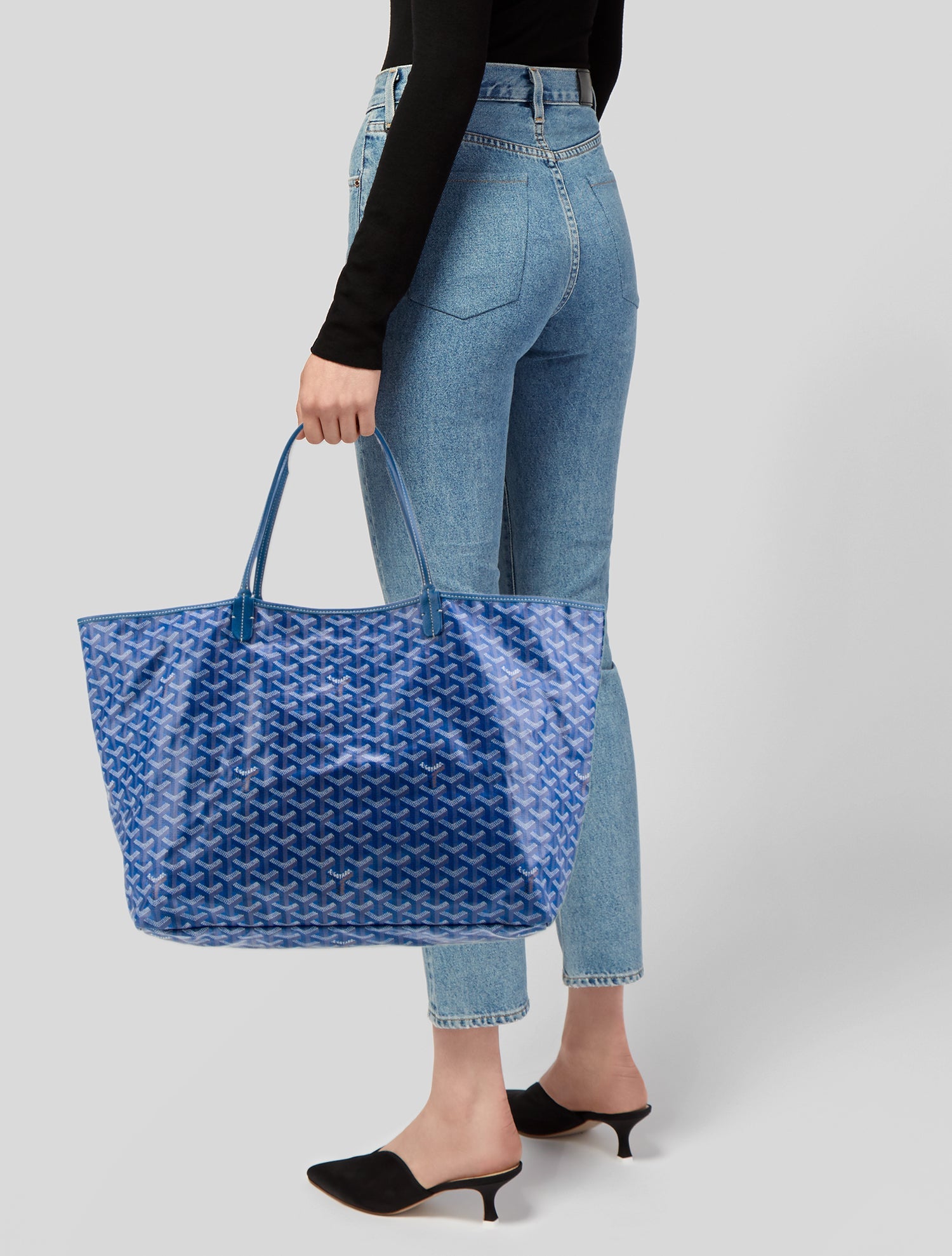 Goyard Goyardine St. Louis GM