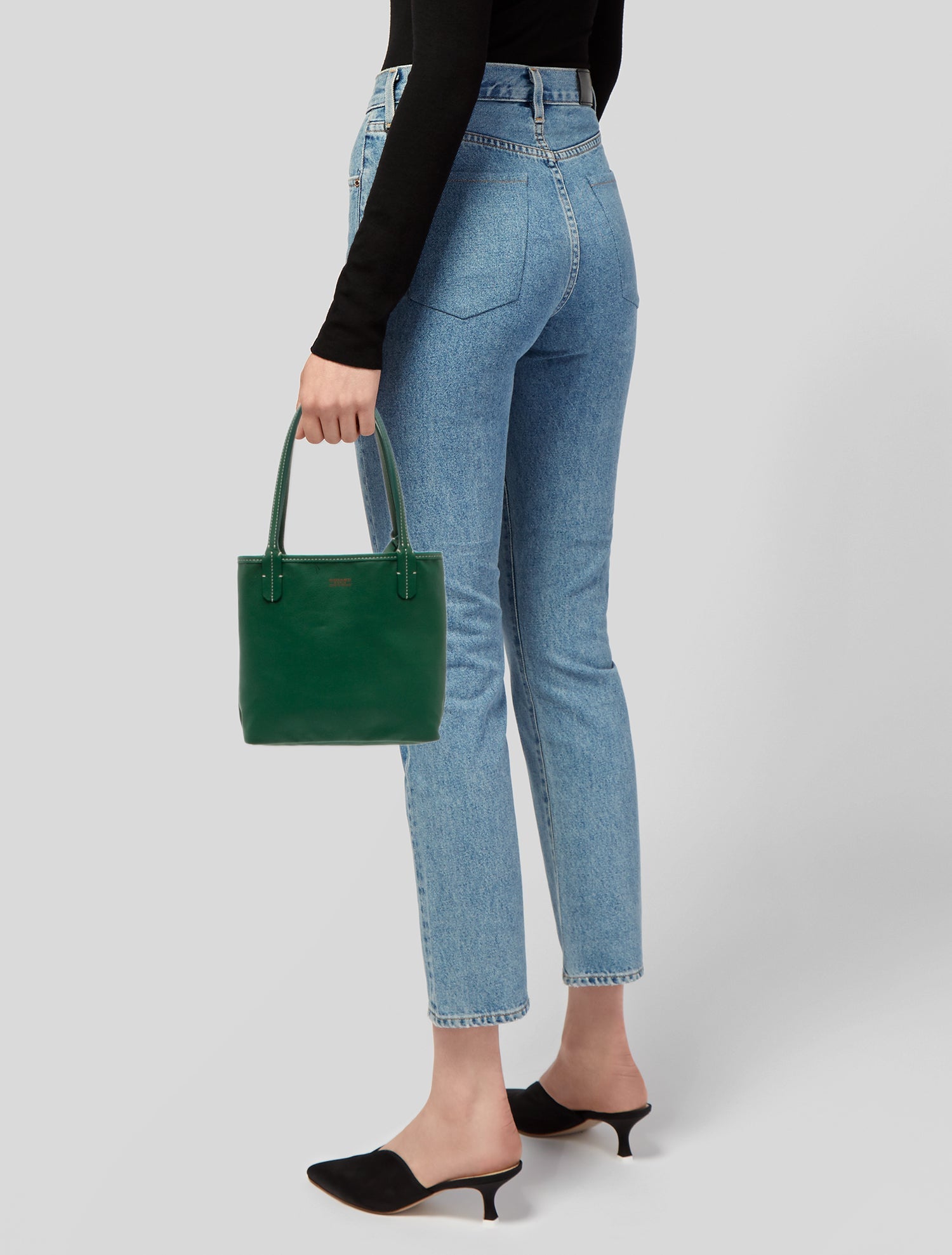 Goyard Goyardine Anjou Mini 2024