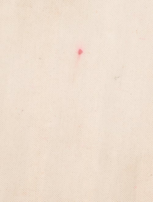 Goyard Goyardine St.Louis PM